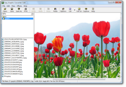 Graphic Converter for Windows